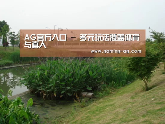 案例展示四(图1)