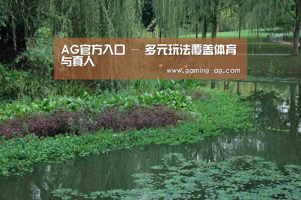案例展示一(图1)