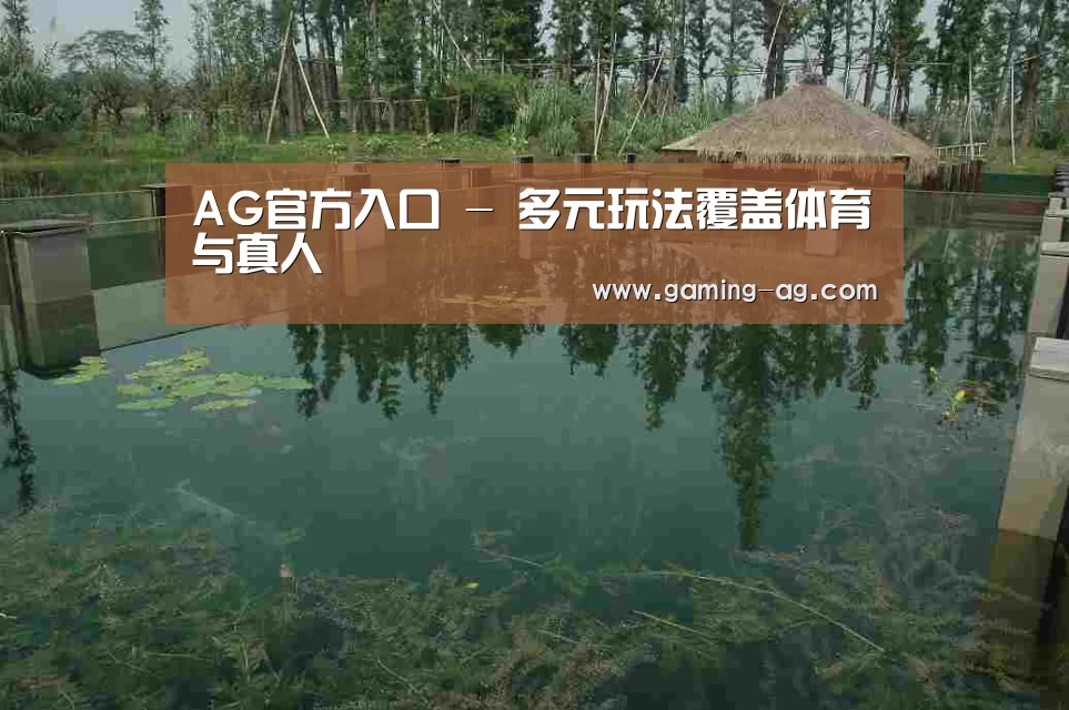 案例展示二(图1)