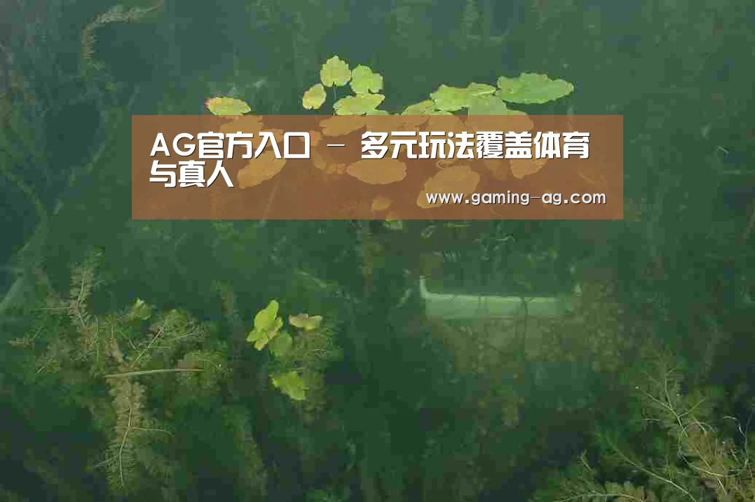 案例展示三(图1)