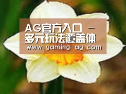 产品名称四