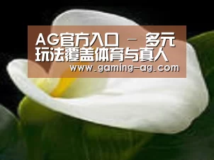 产品名称七