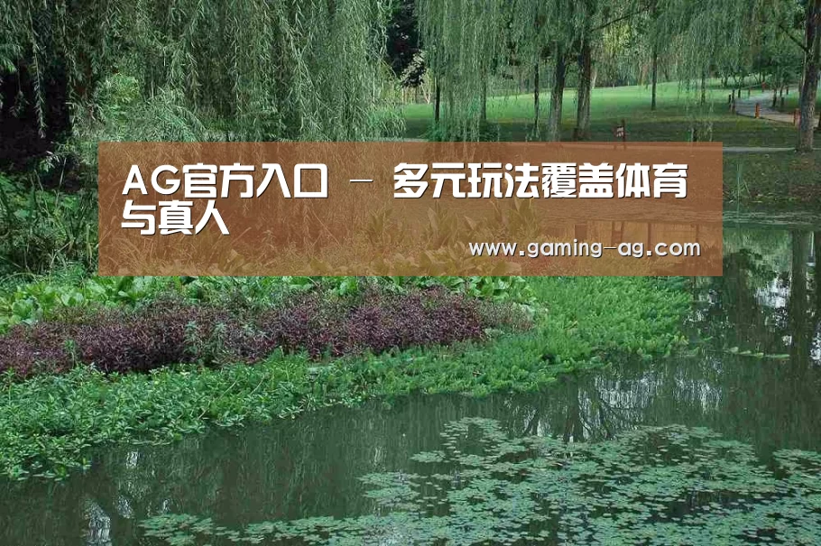案例展示一