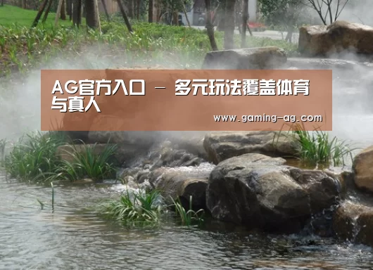 案例展示五