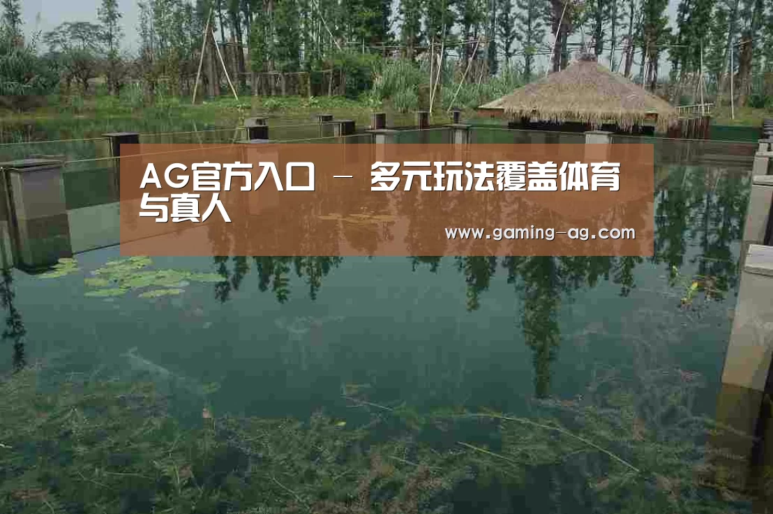 案例展示二