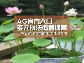 产品名称一
