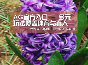 产品名称八