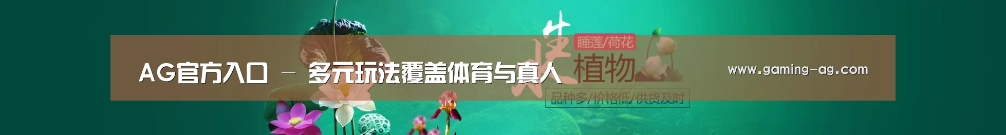 鲜花水草花卉网站模板