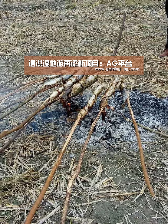 AG国际厅