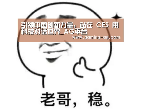 引领中国创新力量,站在 CES 用科技对话世界_AG平台(图4) AG国际厅