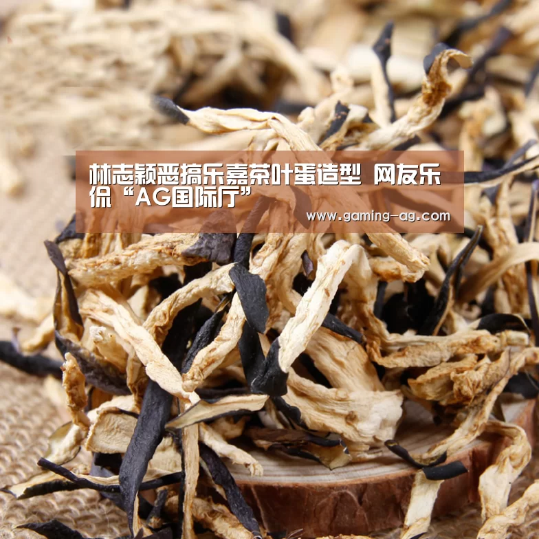 林志颖恶搞乐嘉茶叶蛋造型 网友乐侃“AG国际厅”(图1) AG国际厅