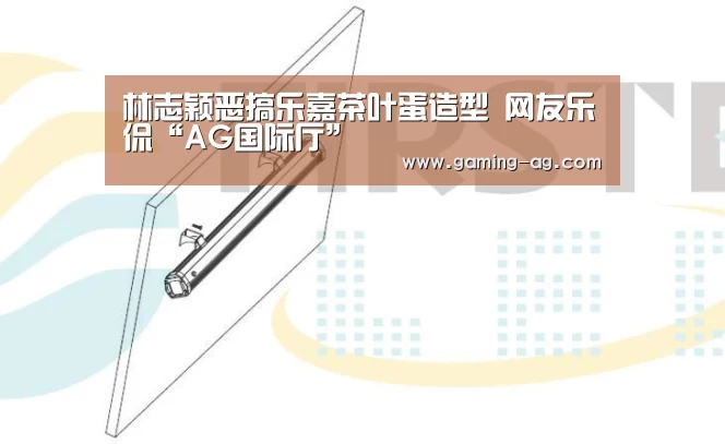 林志颖恶搞乐嘉茶叶蛋造型 网友乐侃“AG国际厅”(图2) AG下载