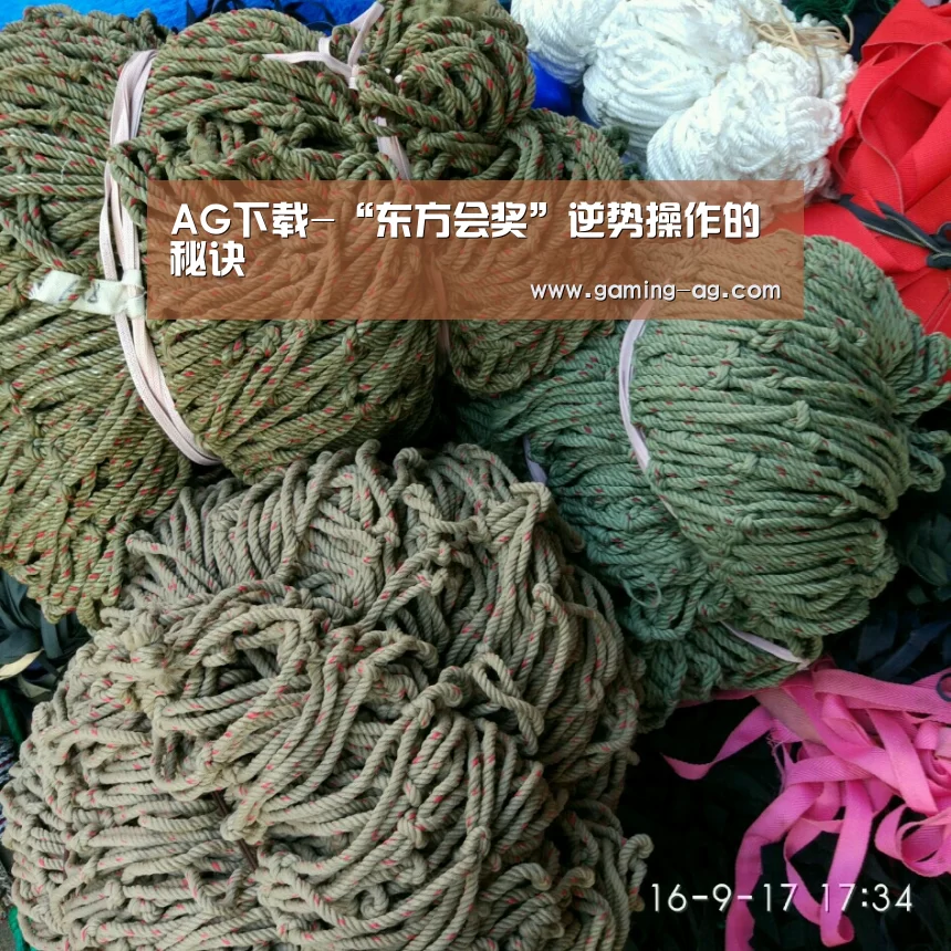 AG下载-“东方会奖”逆势操作的秘诀(图1) AG平台
