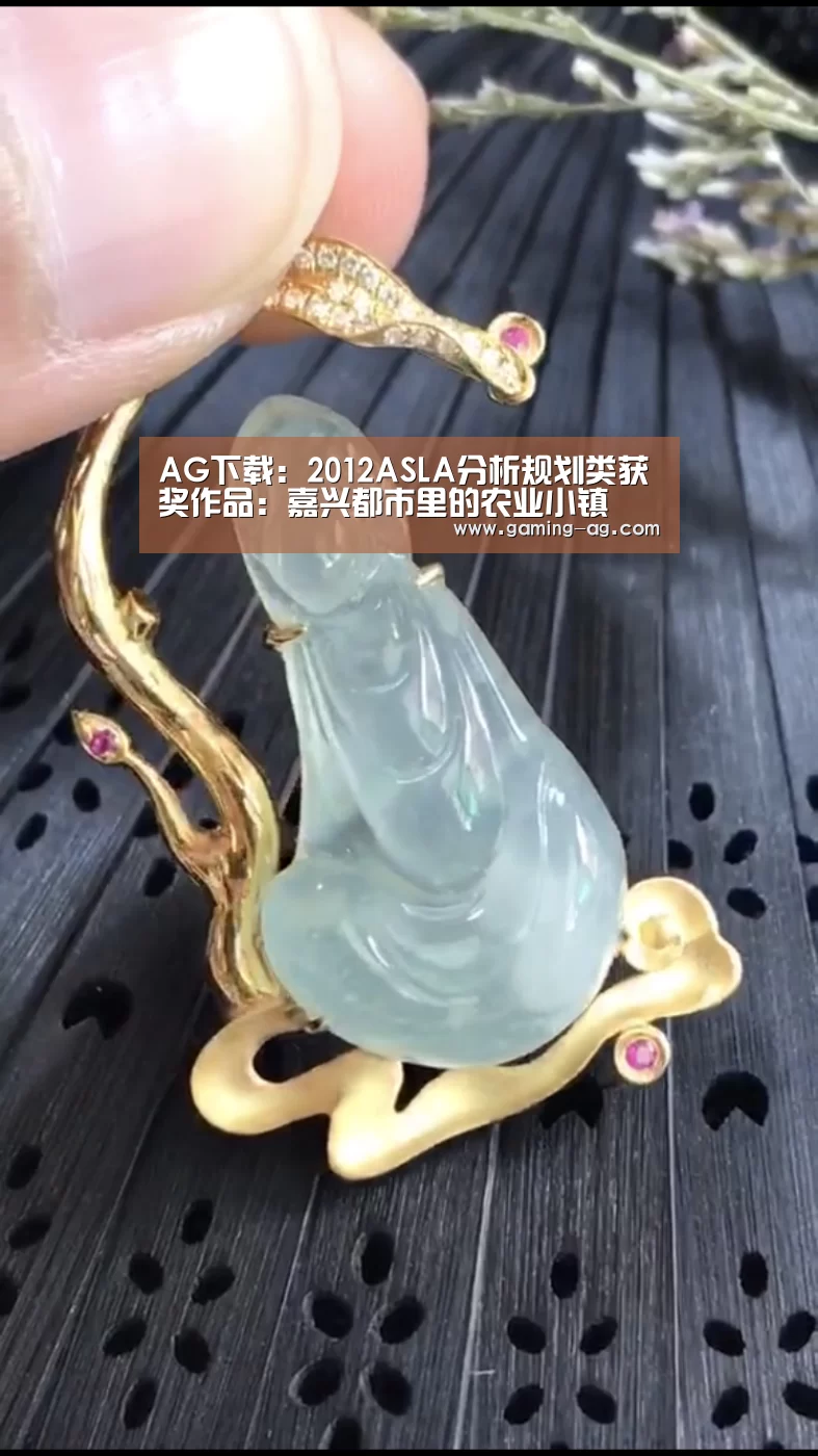 AG下载:2012ASLA分析规划类获奖作品:嘉兴都市里的农业小镇(图3) AG国际厅