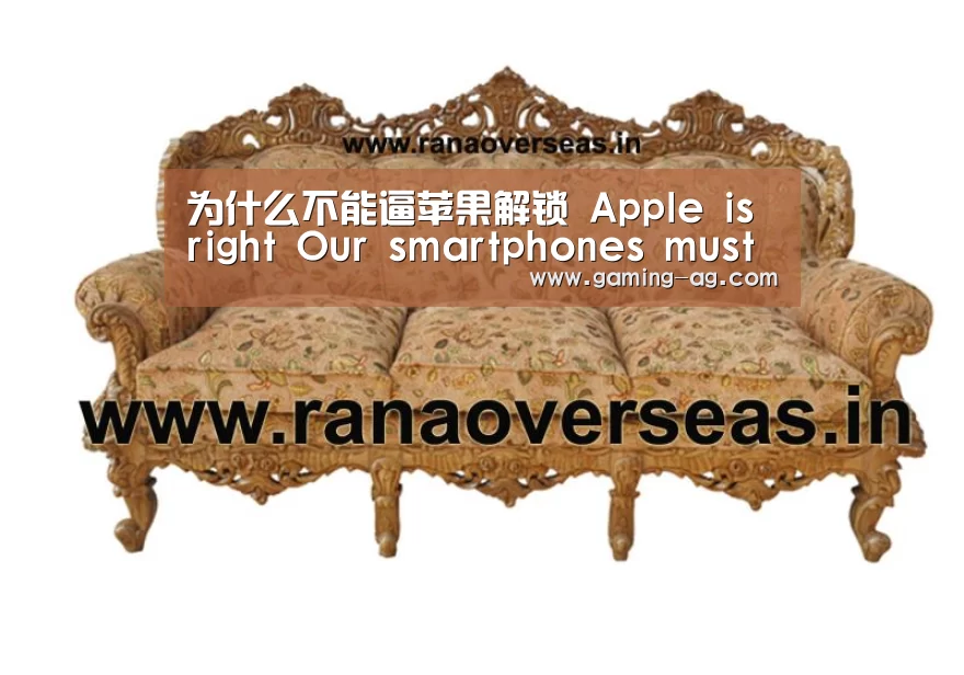为什么不能逼苹果解锁 Apple is right Our smartphones must be kept secur‘AG体育’(图3) AG国际厅